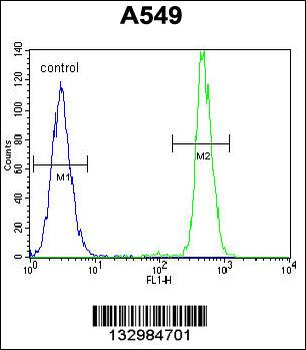 HN1 Antibody (Center)