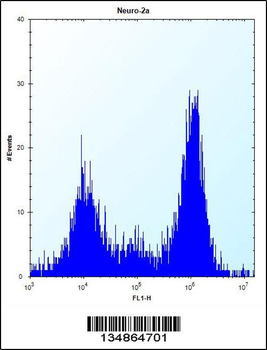 Mouse Prkca Antibody (N-term)