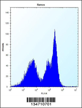 ZAP70 Antibody (Center)