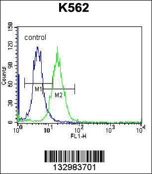HIST1H2AB Antibody (N-term)