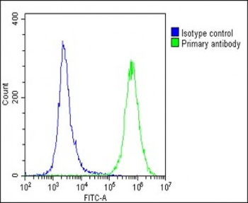 DUX4 Antibody (C-term)