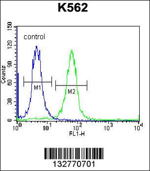 SP6 Antibody (Center)