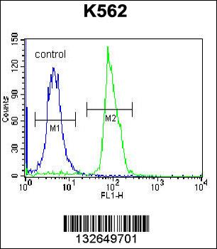 SEMA4C Antibody (C-term)