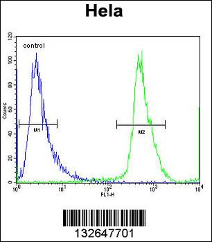 NUP35 Antibody (C-term)