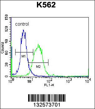 DOC2A Antibody (Center)