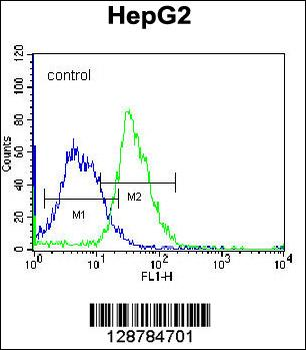 PLEKHH1 Antibody (C-term)