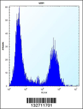 TPM4 Antibody (N-term)
