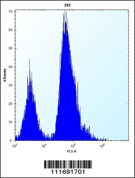 EIF4EBP1 Antibody (Center)