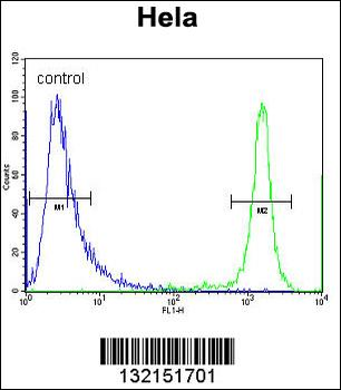 DRG1 Antibody (C-term)