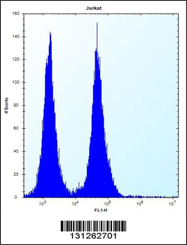 OR11L1 Antibody (C-term)