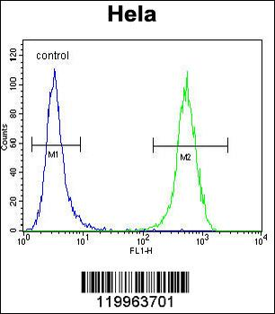 WFDC1 Antibody (C-term H163)