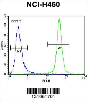 MST1 Antibody (C-term)