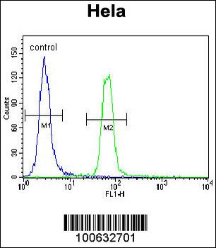 SUMO1 Antibody (C-term)