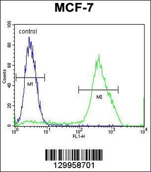 MBD3L3 Antibody (C-term)