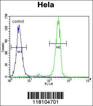 MED7 Antibody (Center)