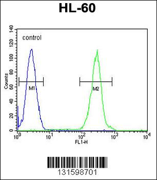 PRSS3 Antibody (Center)
