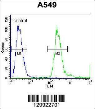 PABPN1L Antibody (Center)