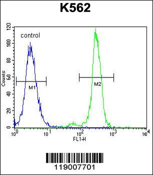 CPA3 Antibody (Center)