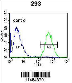 GPC6 Antibody (C-term)