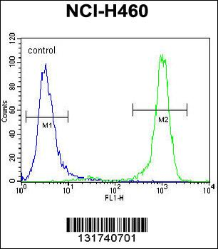 CHRND Antibody (Center)