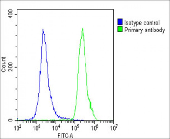 DUX4 Antibody (Center)