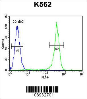 CRFR2 Antibody (D35)