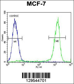 ZNF829 Antibody (Center)