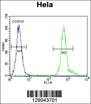 WDR70 Antibody (C-term)