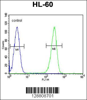 OR2W3 Antibody (C-term)