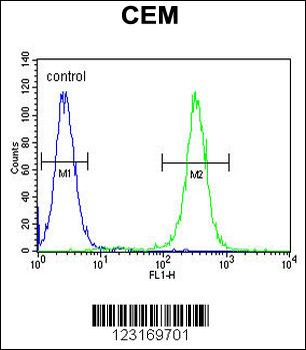 MNDA Antibody (N-term)