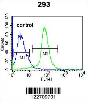 EPGN Antibody (N-term)