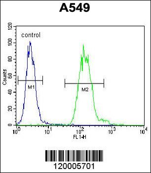 EAPII Antibody (C-term)