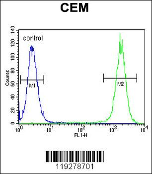 DUOX2 Antibody (Center)