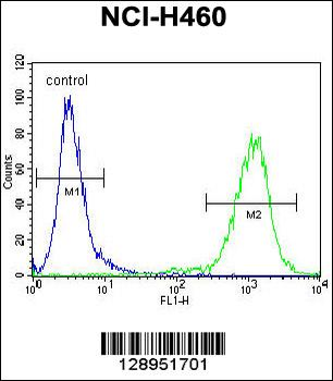 MIER2 Antibody (N-term)