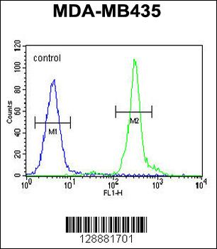 GFRAL Antibody (C-term)