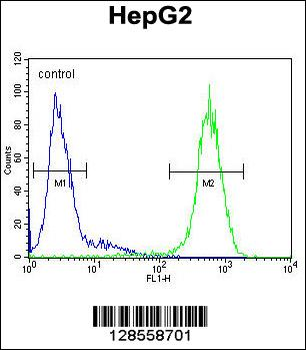 ICAM2 Antibody (Center)