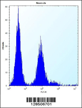 OR9Q1 Antibody (C-term)