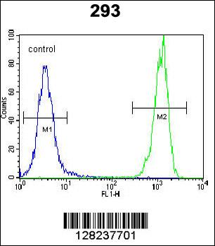 OR10H1 Antibody (C-term)
