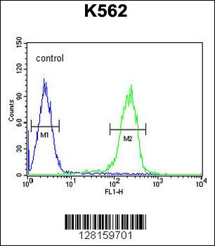 RN185 Antibody (Center)