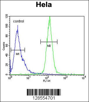 H2AFY2 Antibody (N-term)