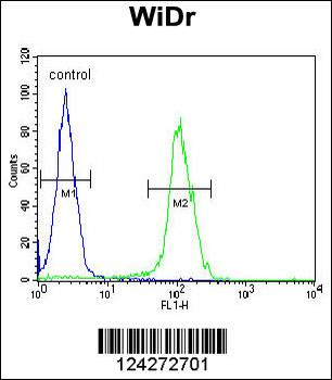BEX1 Antibody (Center)