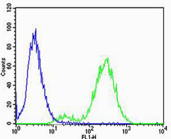 CB2 Antibody (C-term)