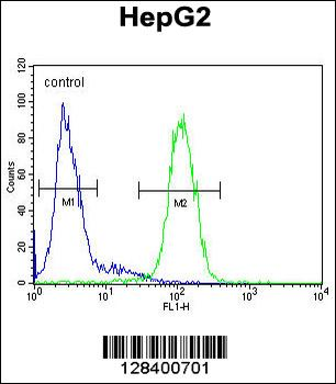 S100Z Antibody (N-term)