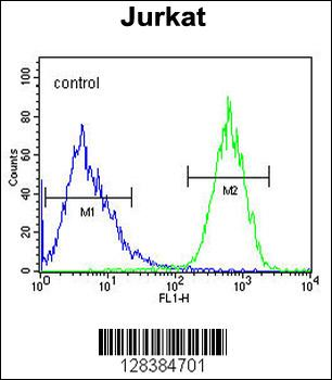PRRG3 Antibody (Center)