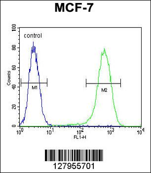 NUDT8 Antibody (N-term)