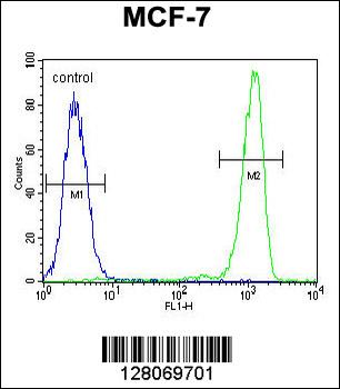 RABGAP1 Antibody (N-term)