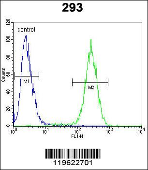 ENSA Antibody (Center)