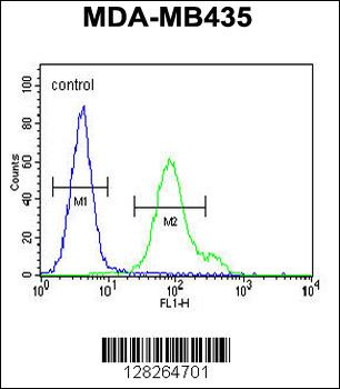 Nephrin (Y1210) antibody