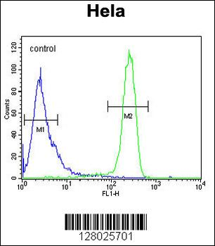 EFTUD1 Antibody (C-term)