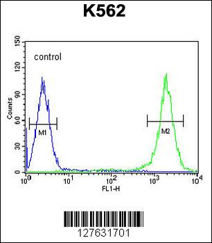 TFAM Antibody (C-term)